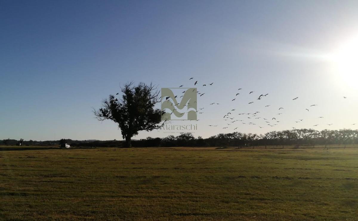 Venta Chacra de 5.000m2, la barra, Maldonado